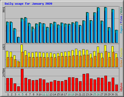 Daily usage for January 2020