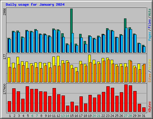 Daily usage for January 2024