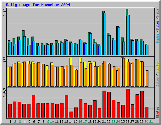 Daily usage for November 2024