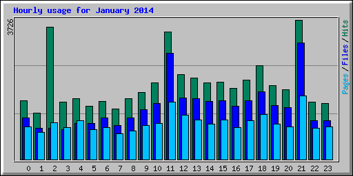 Hourly usage for January 2014