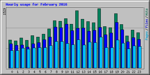 Hourly usage for February 2016