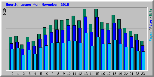 Hourly usage for November 2016