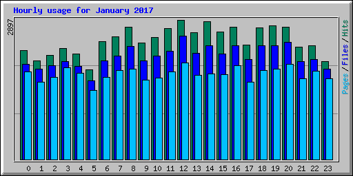 Hourly usage for January 2017