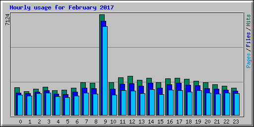 Hourly usage for February 2017