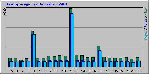 Hourly usage for November 2018