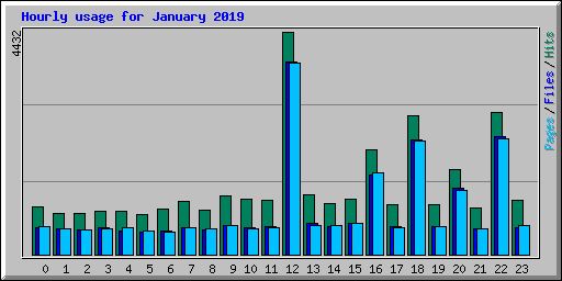 Hourly usage for January 2019