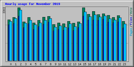 Hourly usage for November 2019