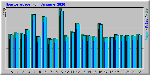 Hourly usage for January 2020