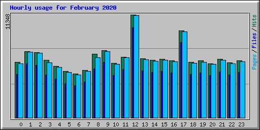 Hourly usage for February 2020