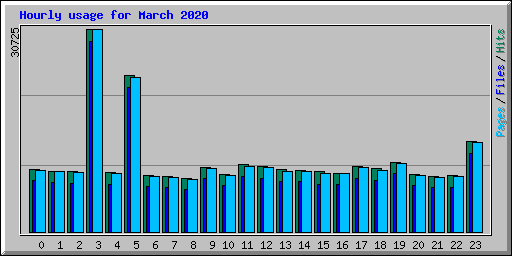 Hourly usage for March 2020