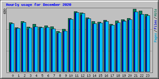 Hourly usage for December 2020