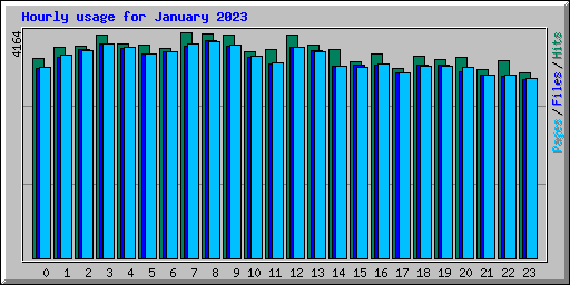 Hourly usage for January 2023