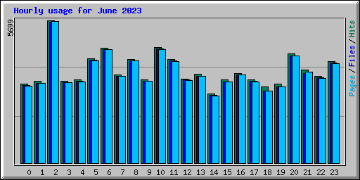 Hourly usage for June 2023