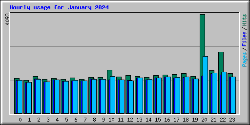 Hourly usage for January 2024