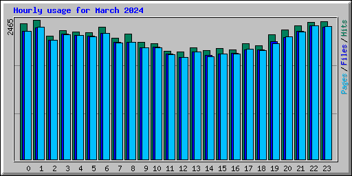 Hourly usage for March 2024