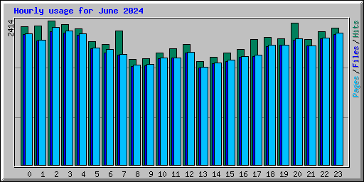 Hourly usage for June 2024