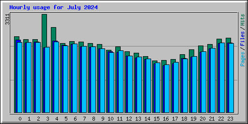 Hourly usage for July 2024