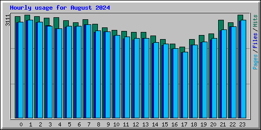 Hourly usage for August 2024