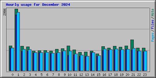 Hourly usage for December 2024