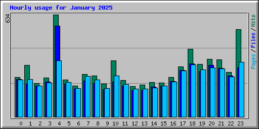 Hourly usage for January 2025